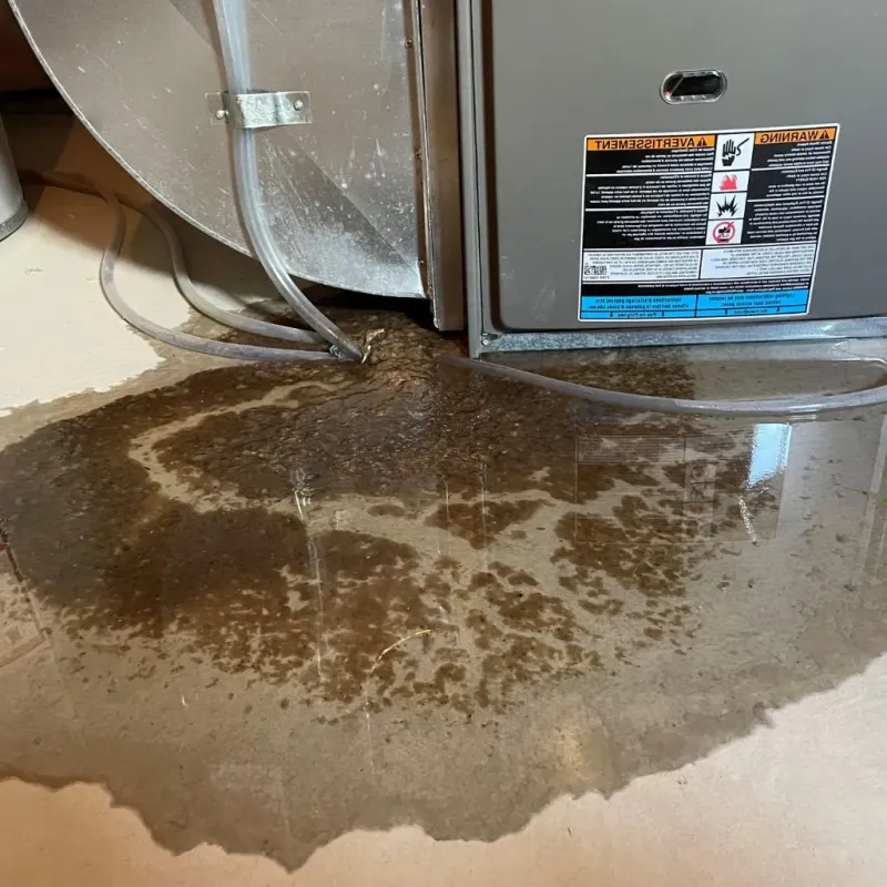 Pipe Burst and Leak Restoration in Graniteville, SC