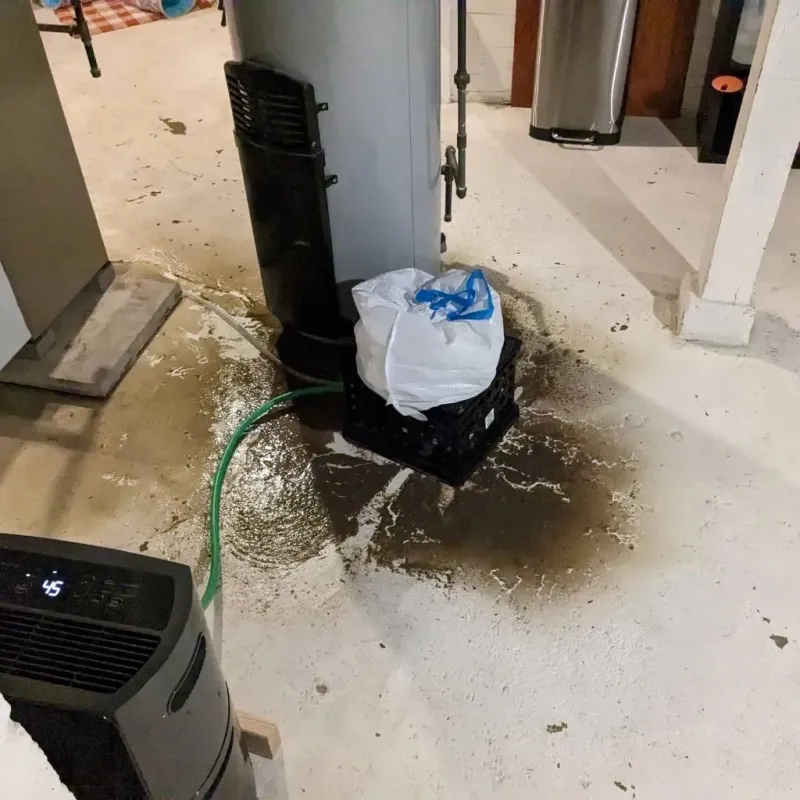 Sewage Backup Cleanup Service in Graniteville, SC